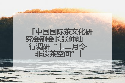 中国国际茶文化研究会副会长张仲灿一行调研“十二月令·非遗茶空间”