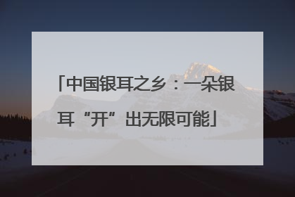 中国银耳之乡：一朵银耳“开”出无限可能