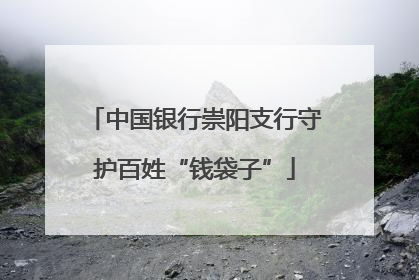 中国银行崇阳支行守护百姓“钱袋子”