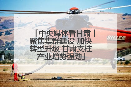 中央媒体看甘肃丨聚焦集群建设 加快转型升级 甘肃支柱产业增势强劲