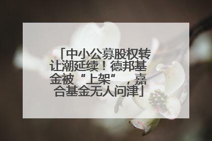 中小公募股权转让潮延续！德邦基金被“上架”，嘉合基金无人问津