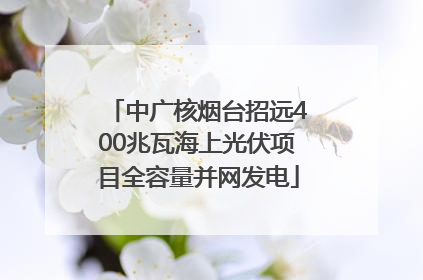 中广核烟台招远400兆瓦海上光伏项目全容量并网发电