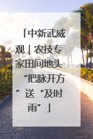 中新武威观｜农技专家田间地头“把脉开方”送“及时雨”