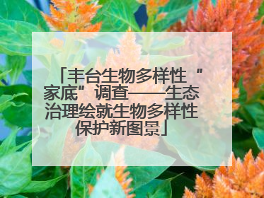 丰台生物多样性“家底”调查——生态治理绘就生物多样性保护新图景