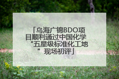 乌海广锦BDO项目顺利通过中国化学“五星级标准化工地”现场初评