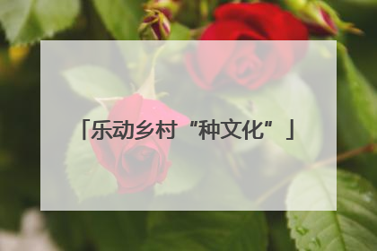 乐动乡村“种文化”