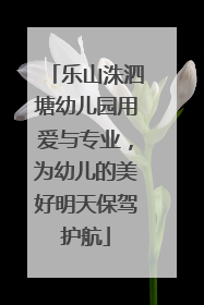 乐山洙泗塘幼儿园用爱与专业，为幼儿的美好明天保驾护航