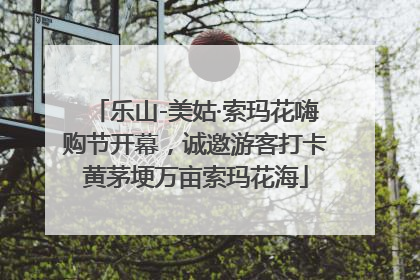 乐山-美姑·索玛花嗨购节开幕，诚邀游客打卡黄茅埂万亩索玛花海