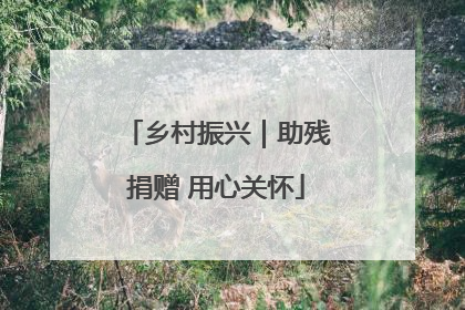 乡村振兴｜助残捐赠 用心关怀