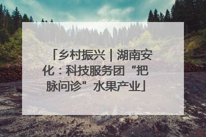 乡村振兴｜湖南安化：科技服务团“把脉问诊”水果产业