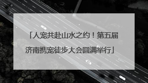 人宠共赴山水之约！第五届济南携宠徒步大会圆满举行