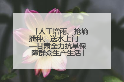 人工增雨、抢墒播种、送水上门——甘肃全力抗旱保障群众生产生活
