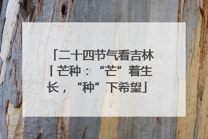 二十四节气看吉林丨芒种：“芒”着生长，“种”下希望