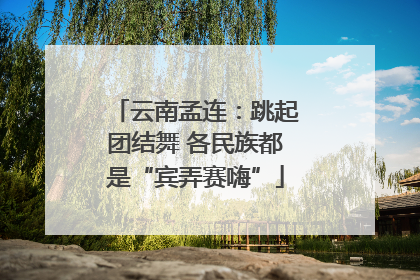 云南孟连：跳起团结舞 各民族都是“宾弄赛嗨”