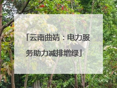 云南曲靖：电力服务助力减排增绿