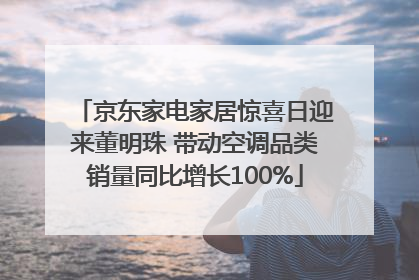 京东家电家居惊喜日迎来董明珠 带动空调品类销量同比增长100%