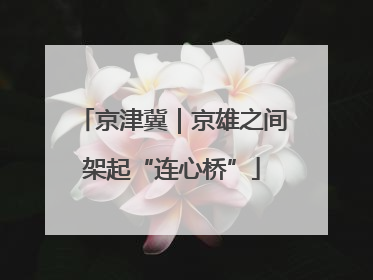 京津冀｜京雄之间架起“连心桥”