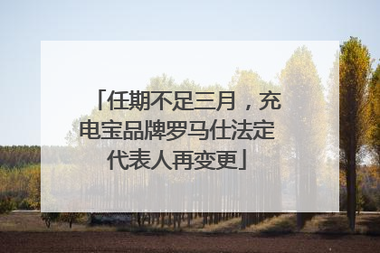 任期不足三月，充电宝品牌罗马仕法定代表人再变更