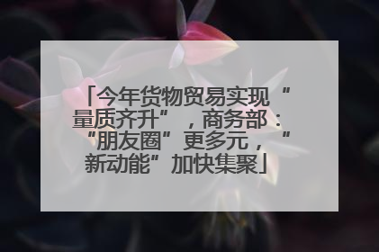 今年货物贸易实现“量质齐升”，商务部：“朋友圈”更多元，“新动能”加快集聚