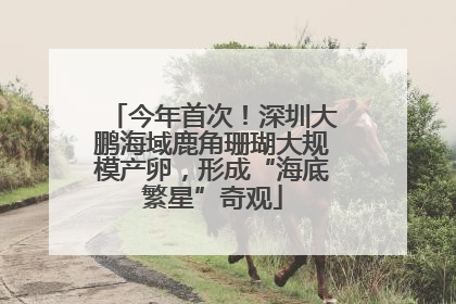今年首次！深圳大鹏海域鹿角珊瑚大规模产卵，形成“海底繁星”奇观