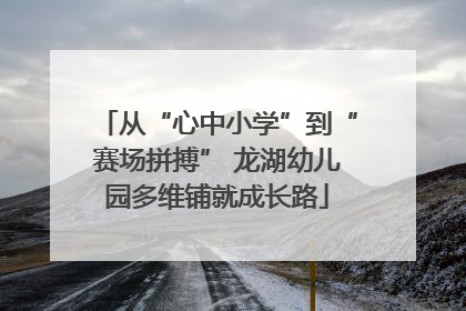 从“心中小学”到“赛场拼搏” 龙湖幼儿园多维铺就成长路