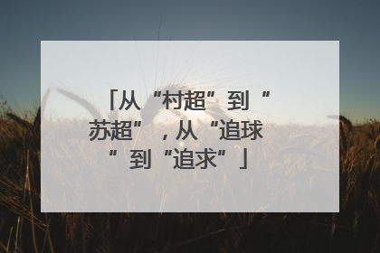 从“村超”到“苏超”，从“追球”到“追求”