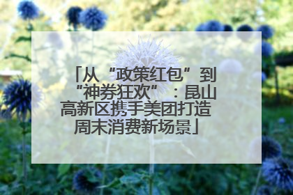从“政策红包”到“神券狂欢”：昆山高新区携手美团打造周末消费新场景