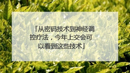从密码技术到神经调控疗法，今年上交会可以看到这些技术