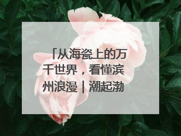 从海瓷上的万千世界，看懂滨州浪漫｜潮起渤海・网聚黄蓝