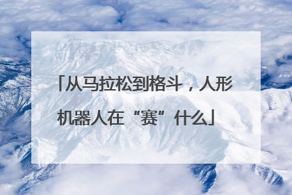 从马拉松到格斗，人形机器人在“赛”什么