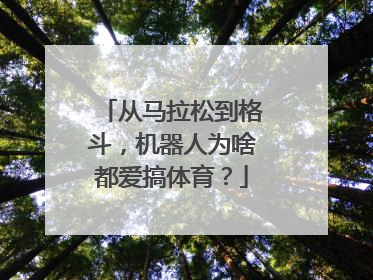从马拉松到格斗，机器人为啥都爱搞体育？