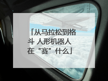 从马拉松到格斗 人形机器人在“赛”什么
