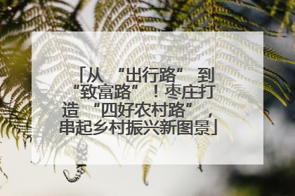 从 “出行路” 到 “致富路”！枣庄打造 “四好农村路”，串起乡村振兴新图景