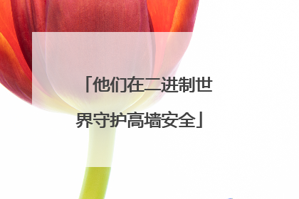 他们在二进制世界守护高墙安全
