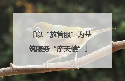 以“放管服”为基筑服务“摩天楼”