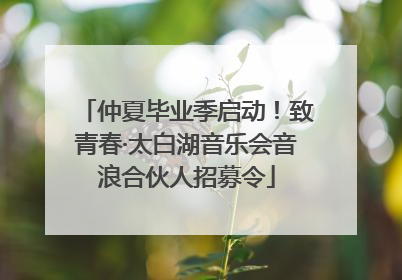 仲夏毕业季启动！致青春·太白湖音乐会音浪合伙人招募令