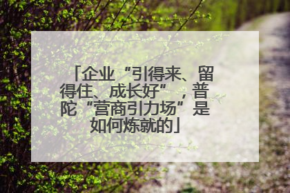企业“引得来、留得住、成长好”，普陀“营商引力场”是如何炼就的
