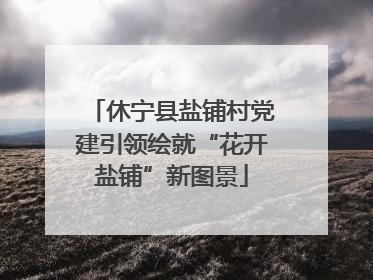休宁县盐铺村党建引领绘就“花开盐铺”新图景