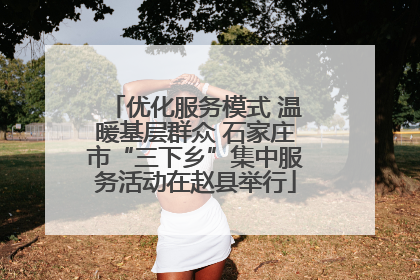 优化服务模式 温暖基层群众 石家庄市“三下乡”集中服务活动在赵县举行