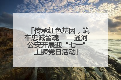 传承红色基因，筑牢忠诚警魂——通河公安开展迎“七一”主题党日活动