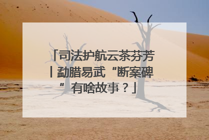 司法护航云茶芬芳丨勐腊易武“断案碑”有啥故事？