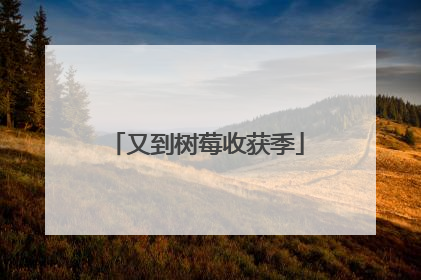 又到树莓收获季