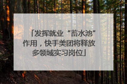 发挥就业“蓄水池”作用，快手美团将释放多领域实习岗位