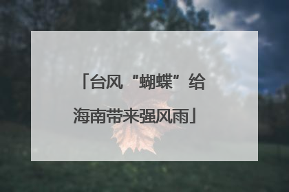 台风“蝴蝶”给海南带来强风雨