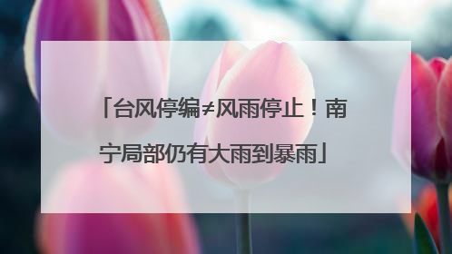 台风停编≠风雨停止！南宁局部仍有大雨到暴雨