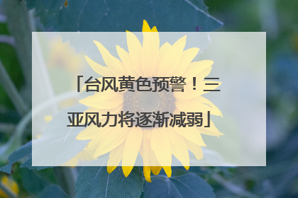 台风黄色预警！三亚风力将逐渐减弱