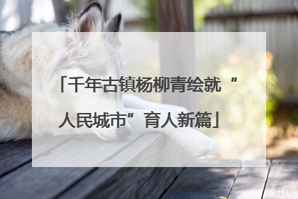 千年古镇杨柳青绘就“人民城市”育人新篇