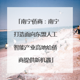 南宁侨商：南宁打造面向东盟人工智能产业高地给侨商提供新机遇