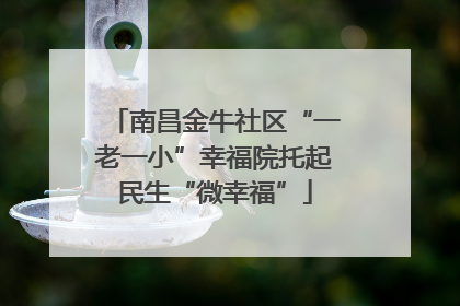 南昌金牛社区“一老一小”幸福院托起民生“微幸福”