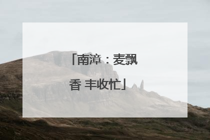 南漳：麦飘香 丰收忙